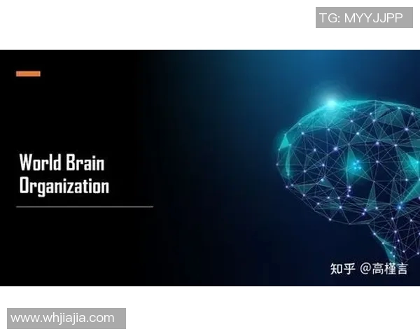 探索WBO的未来发展与全球影响力分析